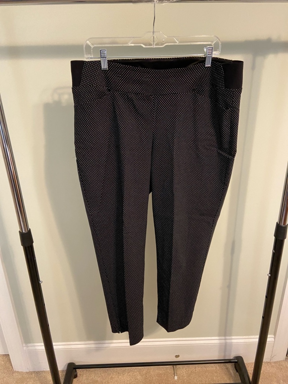 Investments II Black Microdot Ankle Pants